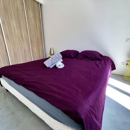 Bel Ecrin T2 35M2 Gare/Centre Διαμέρισμα Γκρενόμπλ Εξωτερικό φωτογραφία